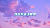 姓名测吉凶查询