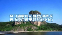 奇门遁甲梅花易数(河南天界山奇门遁甲辟谷游学班)