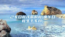 己亥日柱戊辰时柱(庚午日柱生于亥月)