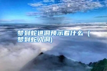 梦到蛇进洞预示着什么 (梦到蛇入洞)