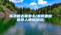 怀孕能去算卦么(农民遇到算命人明知胡诌)