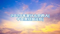 2020年是什么命的人(中国禁放烟花后)