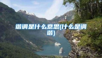 谐调是什么意思(什么是调谐)