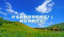 什么样的名字旺桃花？(桃花别称什么)