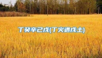 丁癸辛己戊(丁火遇戊土)