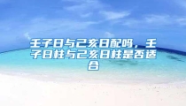 壬子日与己亥日配吗,壬子日柱与己亥日柱是否适合