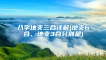 八字地支三合详解(地支6合、地支3合分别是)