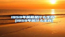 1959年属相是什么生肖 (1959年属什么生肖)