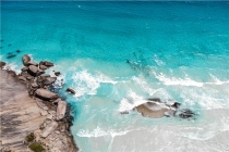 属羊女如何与闺蜜相处(闺蜜之间怎么相处)