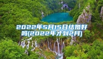 2022年5月15日结婚好吗(2022年才到2月)