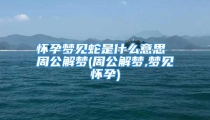 怀孕梦见蛇是什么意思 周公解梦(周公解梦,梦见怀孕)