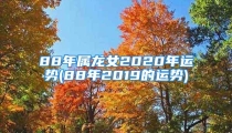 88年属龙女2020年运势(88年2019的运势)