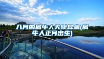 八月的属牛人天赋异禀(属牛人正月出生)