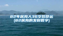 82年属狗人36岁后命运(82属狗的发财数字)