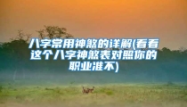 八字常用神煞的详解(看看这个八字神煞表对照你的职业准不)