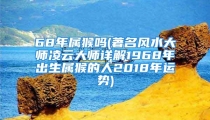 68年属猴吗(著名风水大师凌云大师详解1968年出生属猴的人2018年运势)