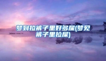 梦到拉裤子里好多屎(梦见裤子里拉屎)