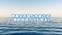 带秉字希望与未来名字(秉的意思与什么有关)