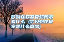 梦到在教室有蛇预示着什么 (梦见蛇在寝室是什么意思)