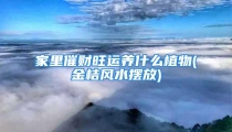 家里催财旺运养什么植物(金桔风水摆放)