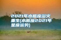 2021年水瓶座浴火重生(水瓶座2021年星座运势)