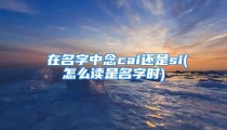偲在名字中念cai还是si(熯怎么读是名字时)