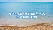 大运引动命局分析(八字人生大运曲线图)