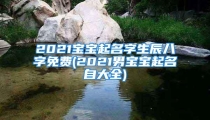 2021宝宝起名字生辰八字免费(2021男宝宝起名自大全)