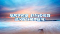 测名字免费 打分(公司取名字打分免费查询)