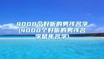 4000个好听的男孩名字(4000个好听的男孩名字鼠年名字)