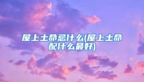 屋上土命忌什么(屋上土命配什么最好)