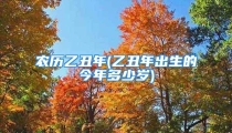 农历乙丑年(乙丑年出生的今年多少岁)