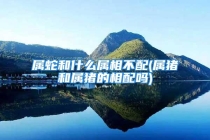 属蛇和什么属相不配(属猪和属猪的相配吗)