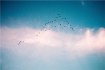 天秤女水瓶男配对指数(水瓶座与天秤)