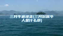 三月牛遍地走(三月份属牛人是什么命)