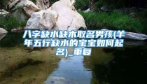 八字缺水缺木取名男孩(羊年五行缺水的宝宝如何起名)_重复
