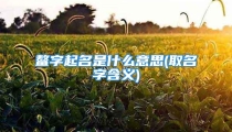 鳌字起名是什么意思(取名字含义)