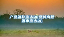 产品名称测吉凶(品牌商标名字测吉凶)