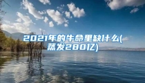 2021年的牛命里缺什么(蒸发280亿)