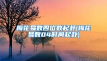 梅花易数四位数起卦(梅花易数04时间起卦)