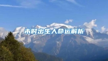 未时出生人命运解析