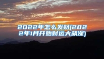 2022年怎么发财(2022年1月开始财运大飙涨)
