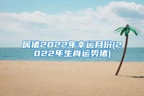属猪2022年幸运月份(2022年生肖运势猪)
