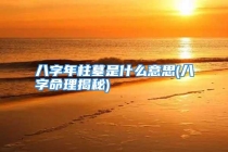 八字年柱墓是什么意思(八字命理揭秘)