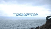 丁卯年太岁是什么