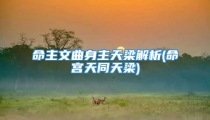 命主文曲身主天梁解析(命宫天同天梁)