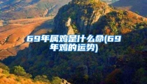 69年属鸡是什么命(69年鸡的运势)