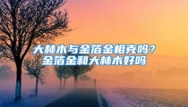 大林木与金箔金相克吗?金箔金和大林木好吗