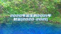 2020年出生的2021年财运(2020-2021)