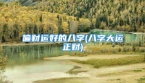 偏财运好的八字(八字大运正财)
